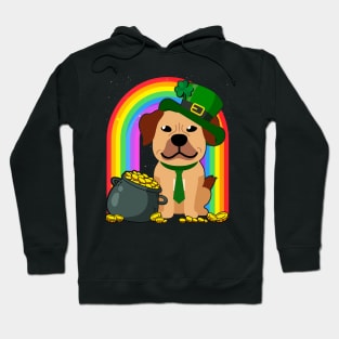 Staffordshire Rainbow Irish Clover St Patrick Day Dog Gift graphic Hoodie